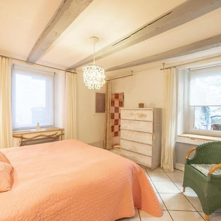 Apartment Classified 3 Stars Located In The Heart Of The Old Town Annecy Eksteriør bilde